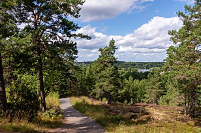 Långängen-Elfviks Nature Reserve, Lidingö, Stockholm, Sweden