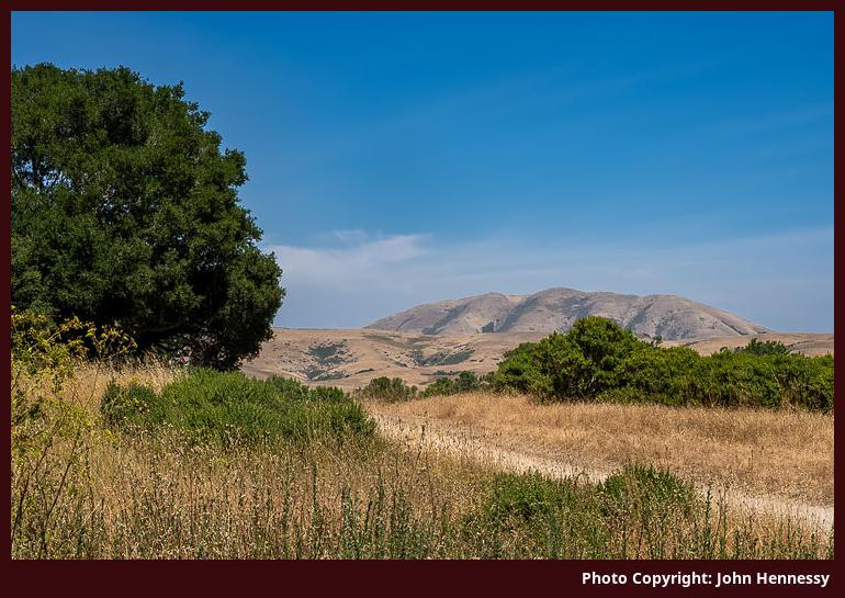 Bolinas Ridge, California, U.S.A.