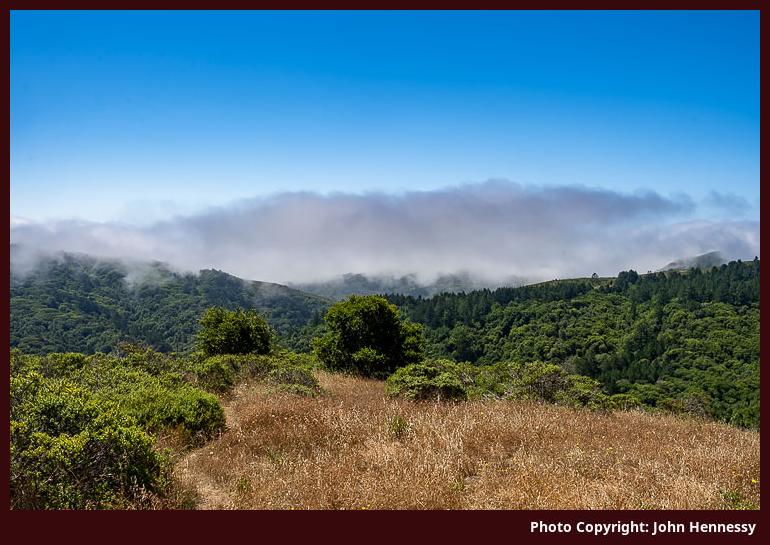 Dipsea Trail near Muir Woods National Monument, California, U.S.A.