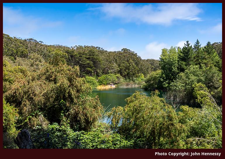 Looking at Tiburon from Angel Island, California, U.S.A.
