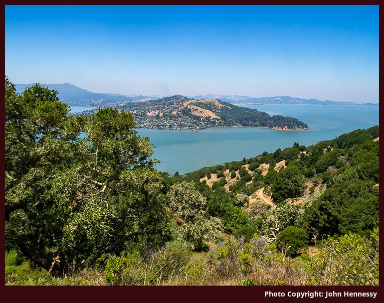 Looking at Tiburon from Angel Island, California, U.S.A.