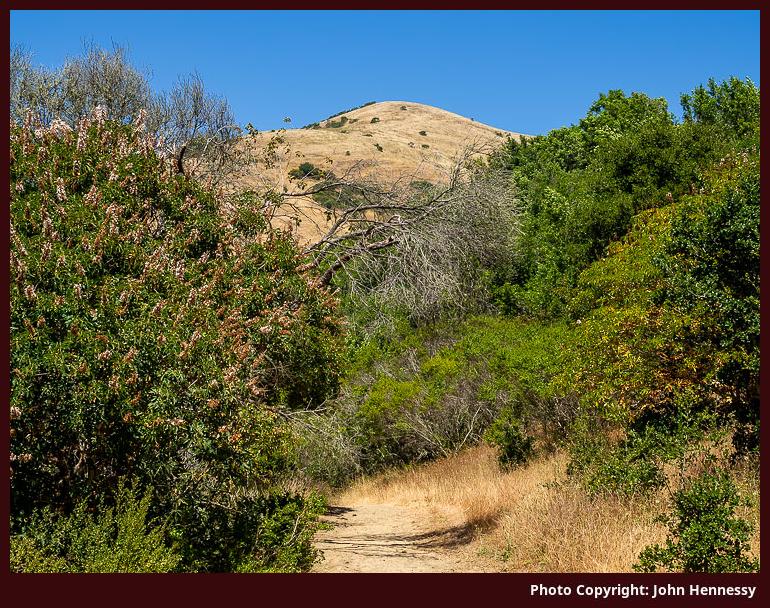 Wildcat Canyon Regional Park, El Cerrito, California, U.S.A.