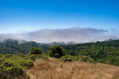 Dipsea Trail near Muir Woods National Monument