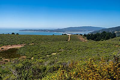 Dipsea Trail with Bolinas Bay and Stinson Beach