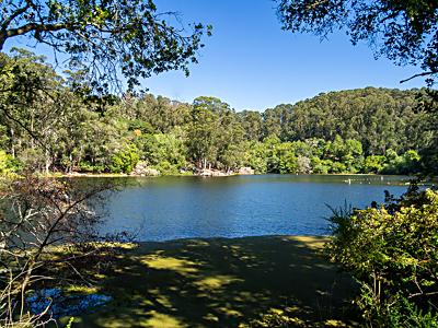 Lake Anza, Tilden Regional Park, Berkeley, California, U.S.A. Lake Anza, Tilden Regional Park, Berkeley, California, U.S.A.