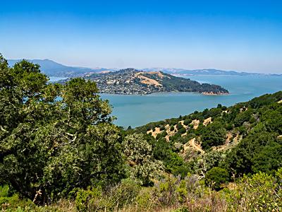 Looking at Tiburon from Angel Island