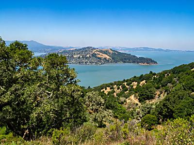 Looking at Tiburon from Angel Island