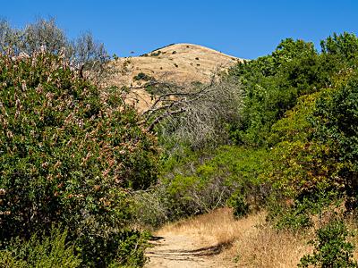 Wildcat Canyon Regional Park, El Cerrito