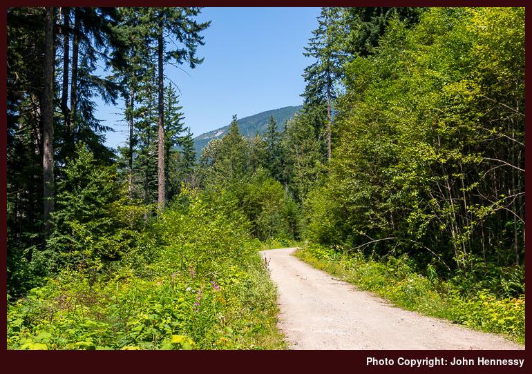 Ring Creek North Forest Access Road, Squamish, British Columbia, Canada Ring Creek North Forest Access Road, Squamish, British Columbia, Canada