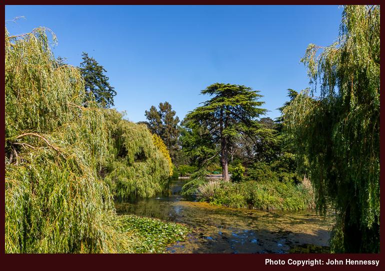 Beacon Hill Park, Victoria, British Columbia, Canada Beacon Hill Park, Victoria, British Columbia, Canada