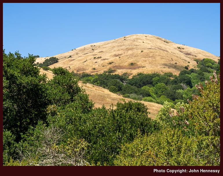 Wildcat Canyon Regional Park, California, U.S.A. Wildcat Canyon Regional Park, California, U.S.A.